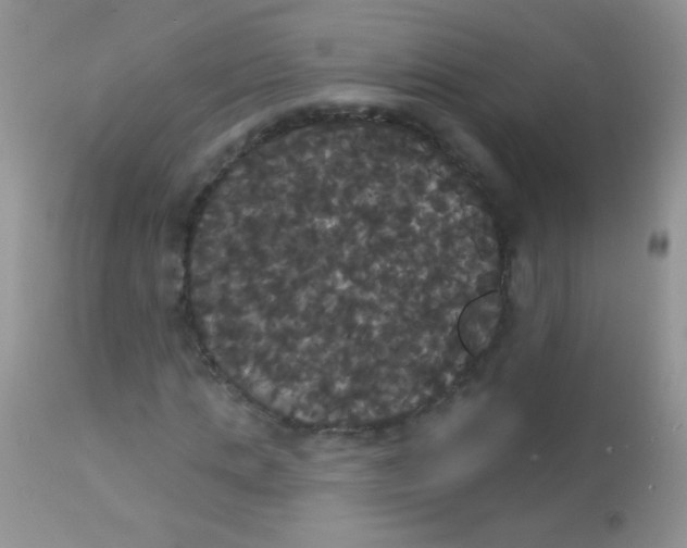 X0000113060821200909181959