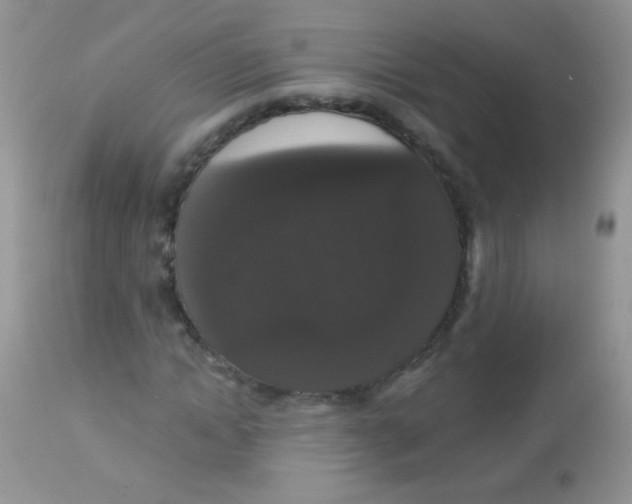 X0000113060822200909181959