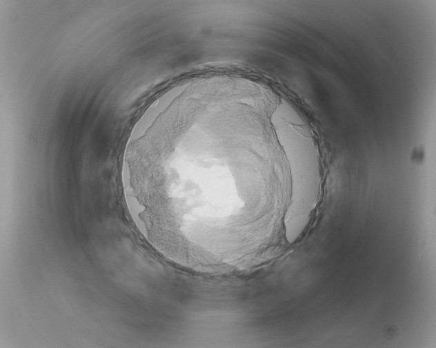 X0000113060824200909181959