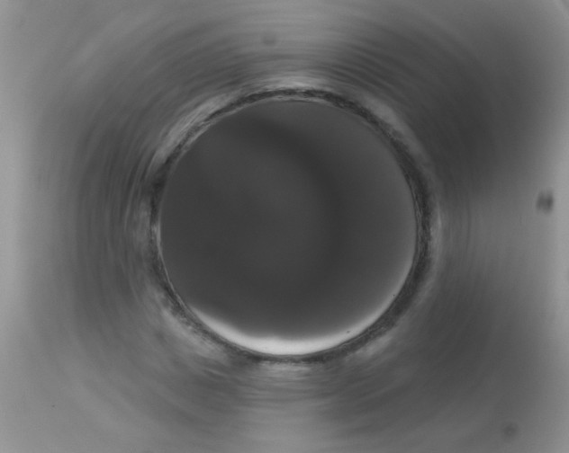 X0000113060825200909181959