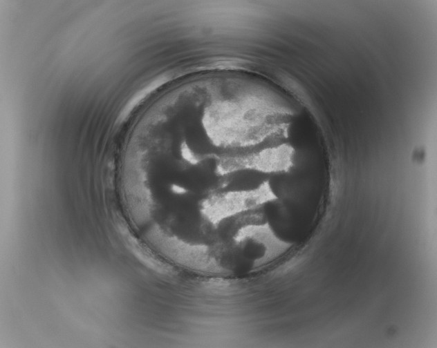 X0000113060827200909181959