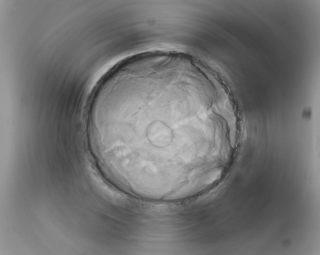 X0000113060828200909181959