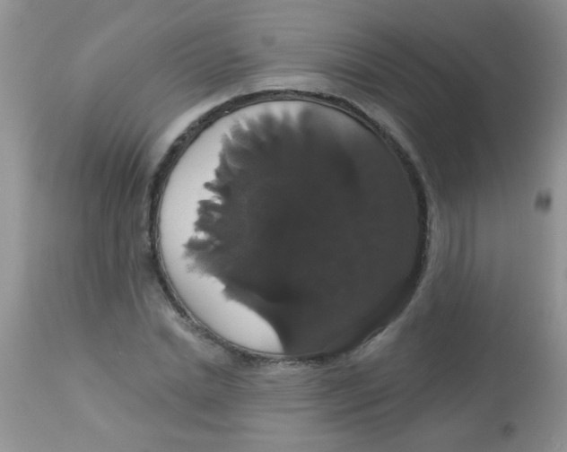 X0000113060830200909181959