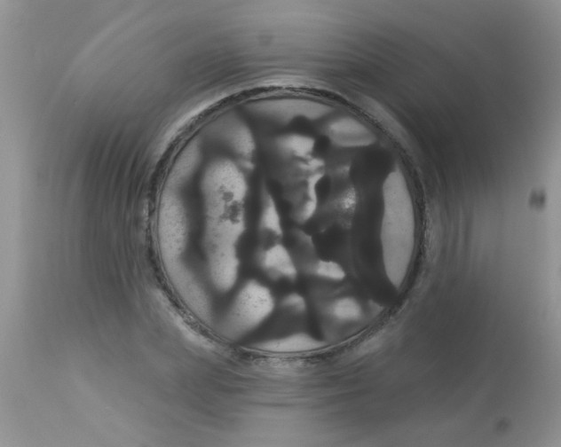 X0000113060831200909181959