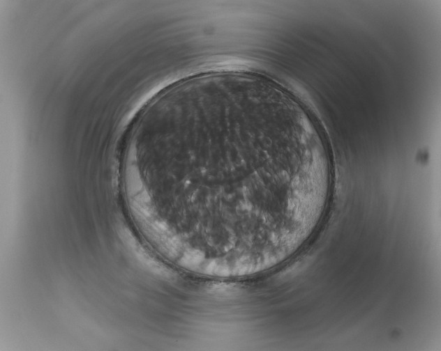 X0000113060835200909181959