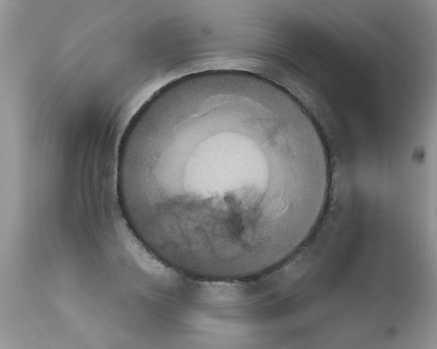 X0000113060836200909181959