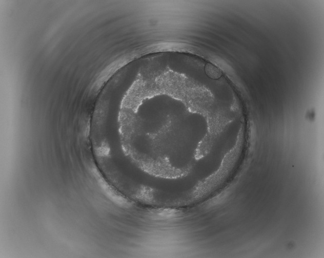 X0000113060841200909181959