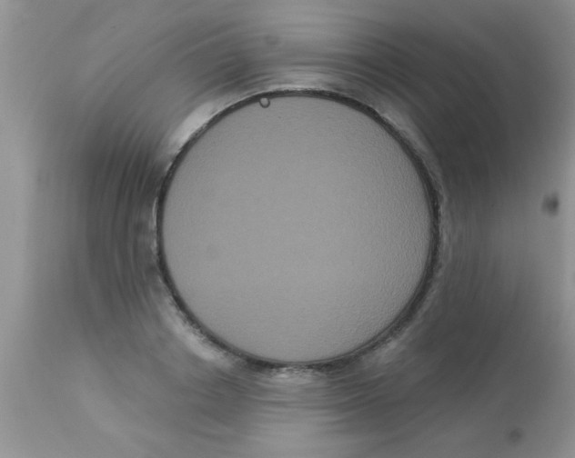 X0000113060842200909181959