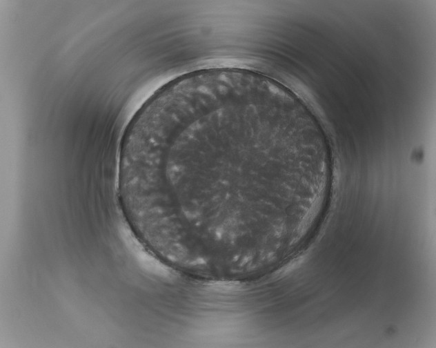 X0000113060844200909181959