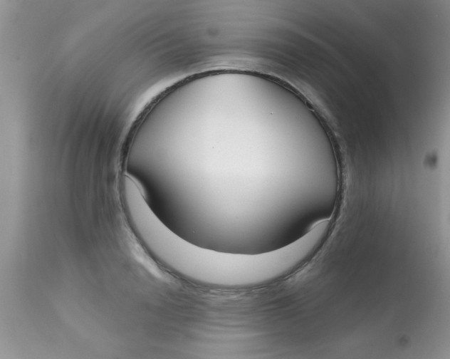 X0000113060846200909181959