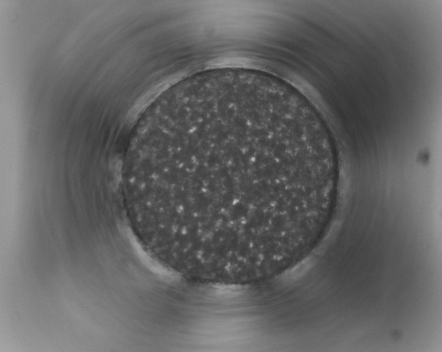 X0000113060849200909181959