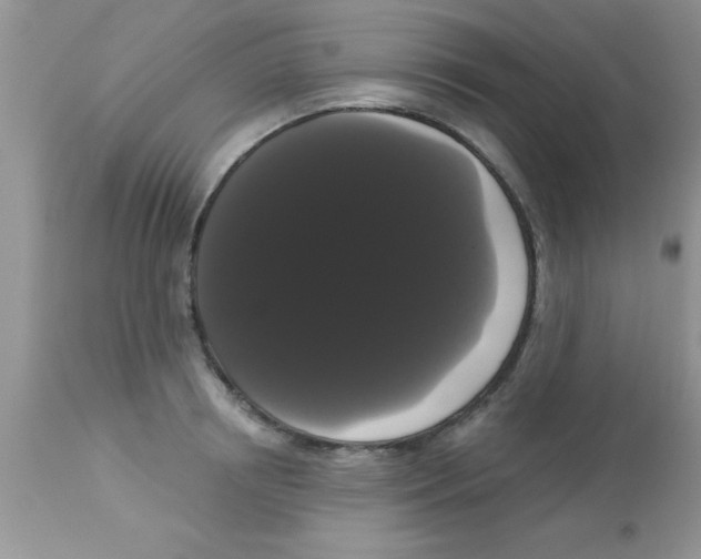 X0000113060850200909181959