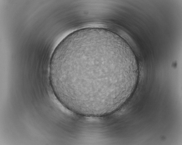 X0000113060852200909181959