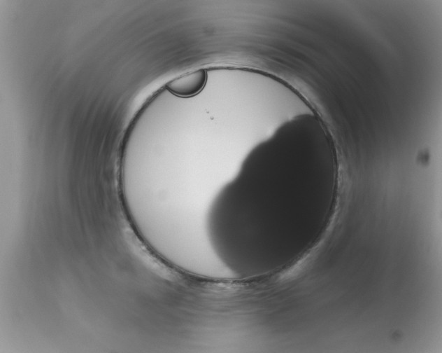 X0000113060854200909181959