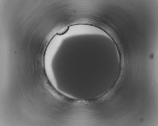 X0000113060858200909181959