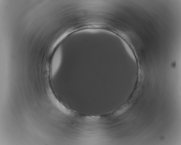 X0000113060859200909181959