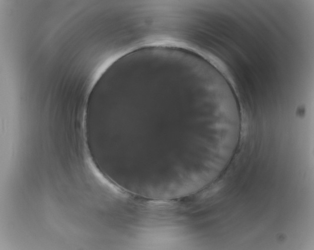X0000113060863200909181959