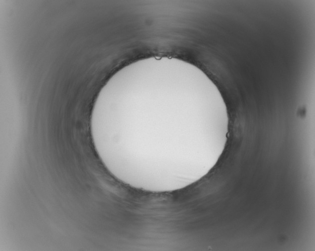 X0000113060865200909181958