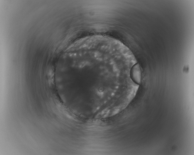 X0000113060866200909181958