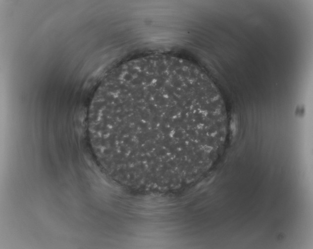 X0000113060867200909181958