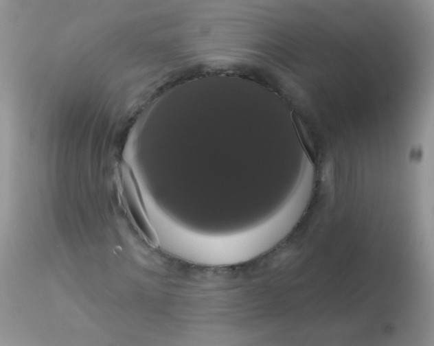 X0000113060868200909181958