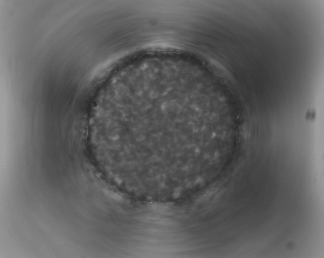 X0000113060870200909181958