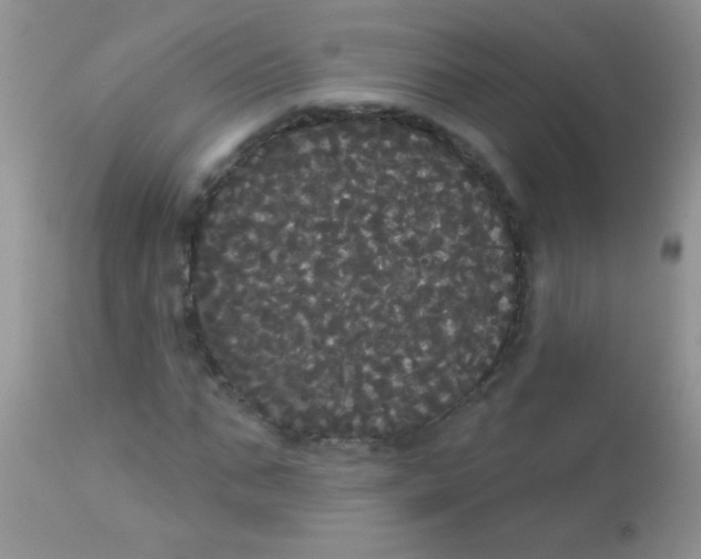 X0000113060871200909181958