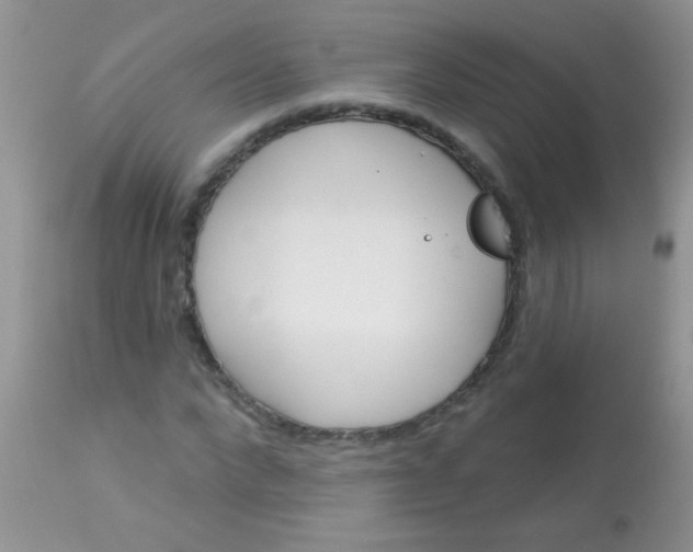 X0000113060872200909181958