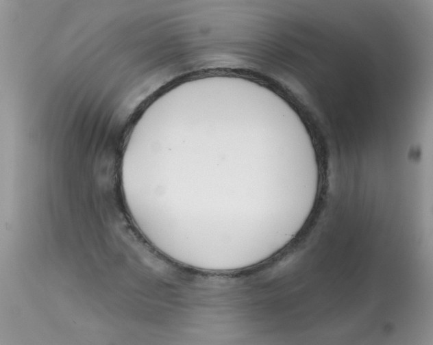 X0000113060873200909181958