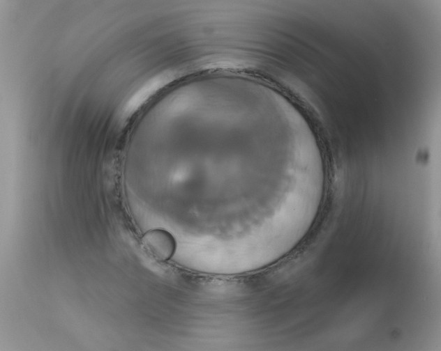 X0000113060874200909181958