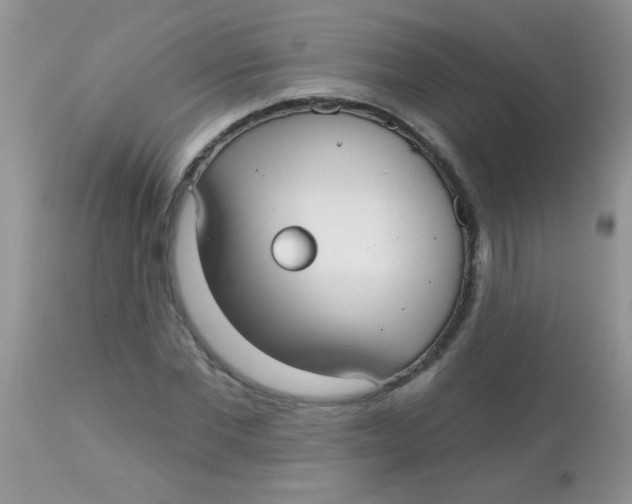 X0000113060877200909181958