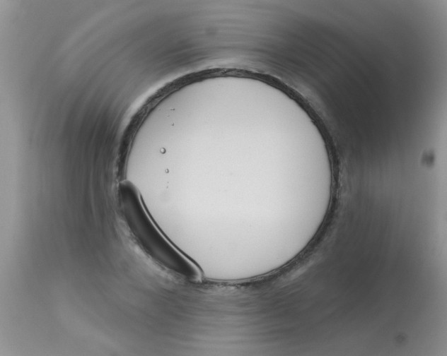 X0000113060880200909181958