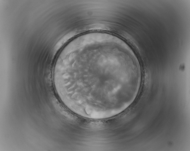 X0000113060882200909181958