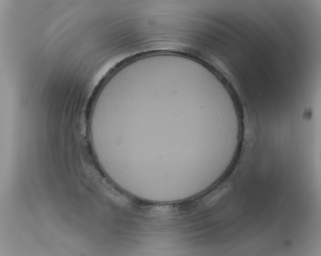X0000113060883200909181958