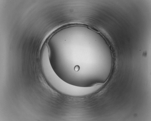 X0000113060884200909181958