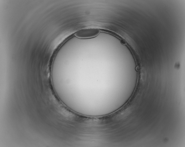X0000113060885200909181958