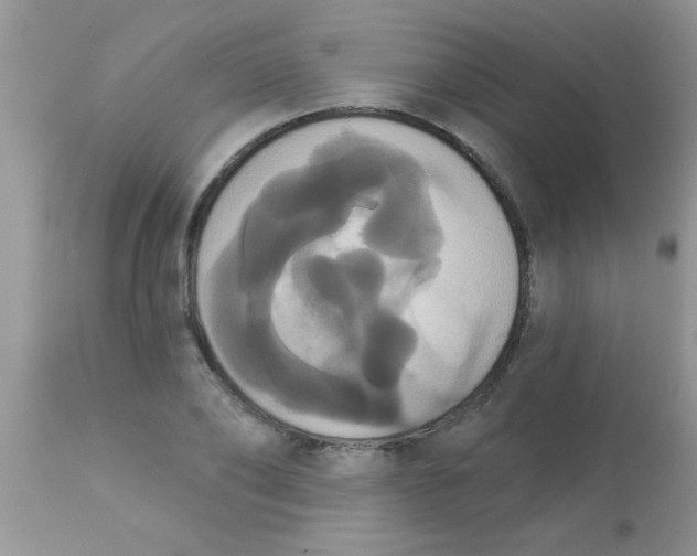 X0000113060886200909181958