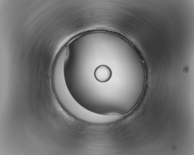X0000113060888200909181958