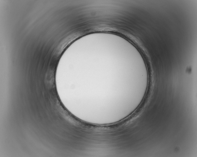 X0000113060889200909181958