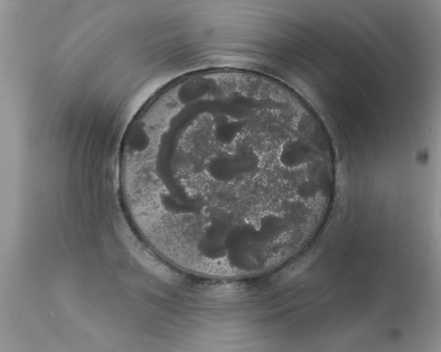 X0000113060891200909181958