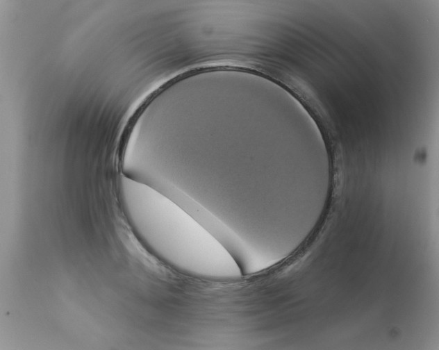 X0000113060892200909181958