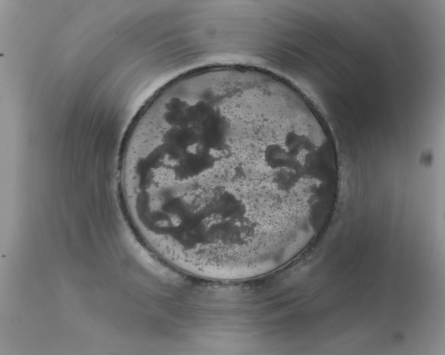 X0000113060895200909181958