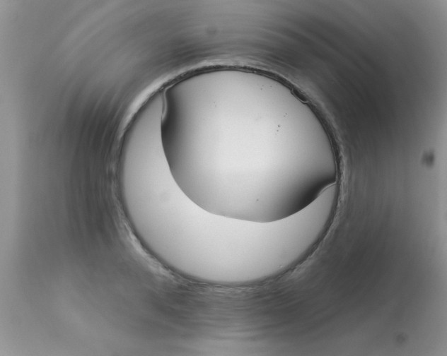 X0000113060896200909181958