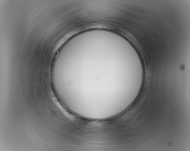 X0000113060898200909181958