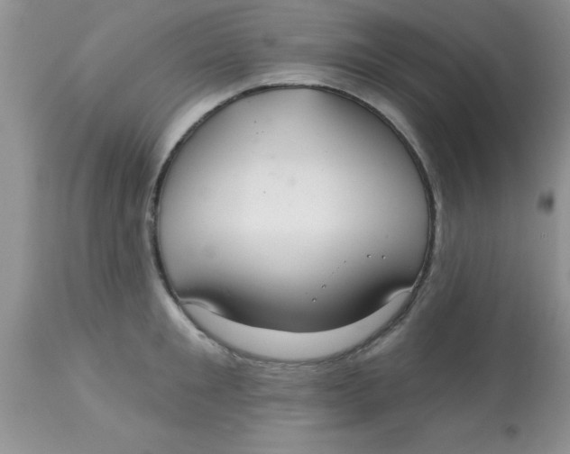 X0000113060901200909181958
