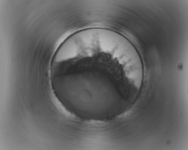 X0000113060907200909181958
