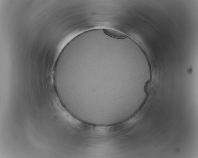 X0000113060908200909181958