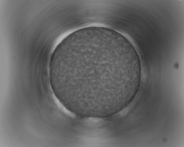 X0000113060910200909181958