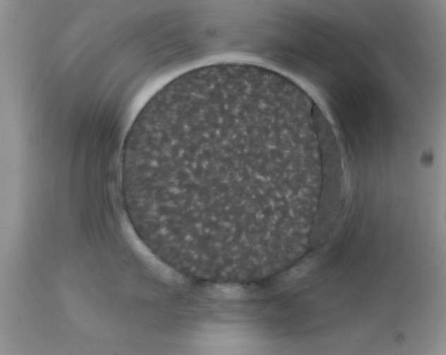 X0000113060911200909181958