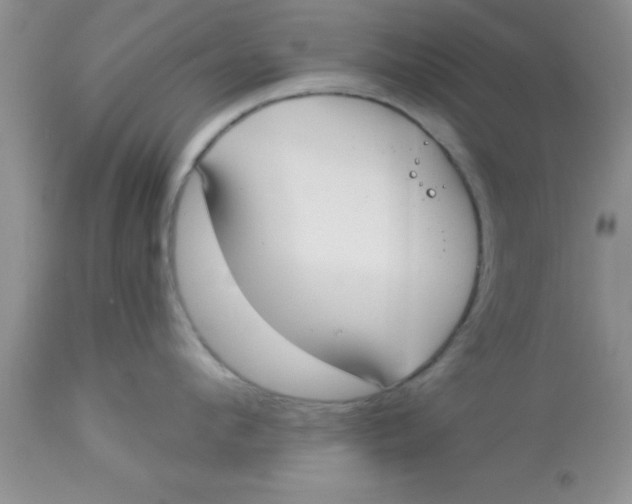 X0000113060912200909181957